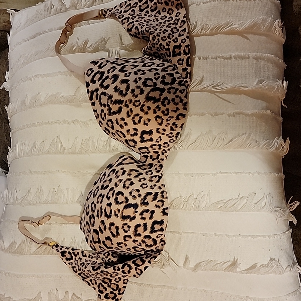 Incredible by Victorias secret bra